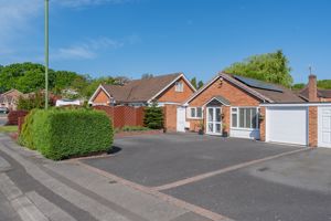 Photo 40- click for photo gallery